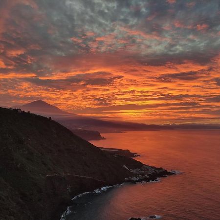 Best View Tenerife Vivienda Vacacional La Matanza De Acentejo Exterior foto